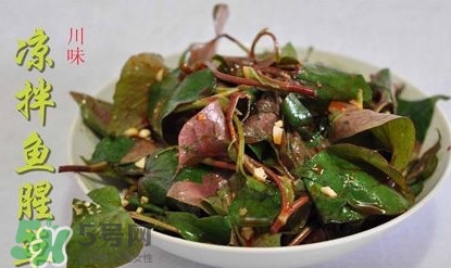 吃魚腥草可以喝酒嗎？吃魚腥草能喝酒嗎