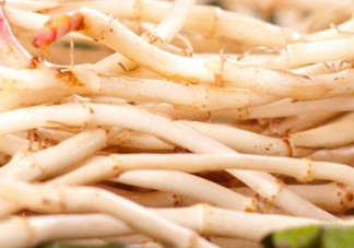 新鮮魚腥草怎么煮水？魚腥草怎么煮水喝