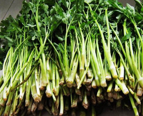 水芹菜是什么菜？水芹菜是野芹菜嗎