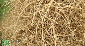 魚腥草根怎么吃？魚腥草根怎么做好吃