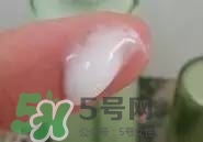 一葉子和百雀羚哪個(gè)好？一葉子和百雀羚面膜對(duì)比