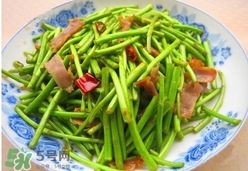 藜蒿葉子能吃嗎？藜蒿葉子可以吃嗎