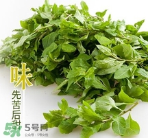 枸杞頭怎么吃？枸杞頭如何吃