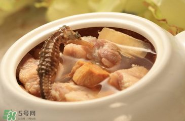 孕婦可以吃海馬煲湯嗎？海馬湯孕婦可以喝嗎？