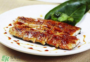 孕婦可以吃白鱔嗎？孕婦能吃白鱔嗎？