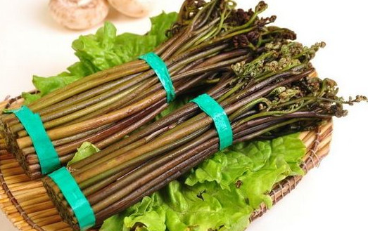 蕨菜到底能不能吃？山上的蕨菜能不能吃