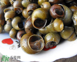 田螺可以?xún)艋|(zhì)嗎？田螺能凈化水質(zhì)嗎？