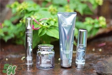 睿致肌極地冰肌菁華露好用嗎?睿致肌菁華露怎么樣? 睿致肌極地冰肌菁華露好用嗎?睿致肌菁華露怎么樣?