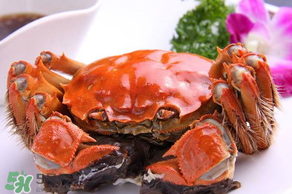 四月份有大閘蟹嗎？4月份還能買到大閘蟹嗎？