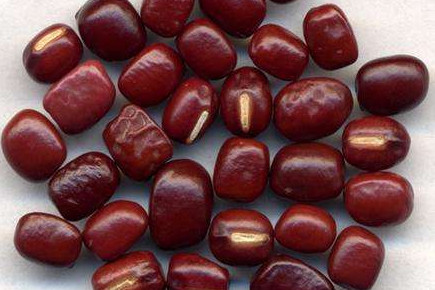 赤小豆是赤豆嗎？赤小豆是紅小豆嗎