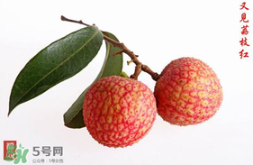 4月份有荔枝嗎？四月份有荔枝嗎？