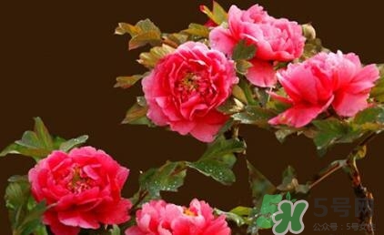 四月份去哪里旅游比較好？四月份最適合旅游的地方