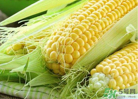 四月份的玉米能吃嗎？四月份有玉米嗎？