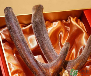 鹿茸不能和什么一起吃？鹿茸不能與什么同食？