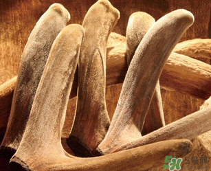 鹿茸不能和什么一起吃？鹿茸不能與什么同食？