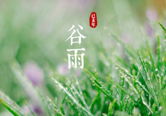 谷雨是什么季節(jié)？谷雨是春天還是夏天？