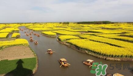 四月份去哪里旅游比較好？四月份最適合旅游的地方