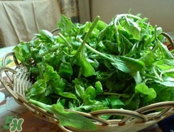 枸杞頭怎么吃？枸杞頭如何吃