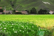 四月份去哪里旅游比較好？四月份最適合旅游的地方