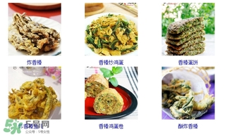 香椿芽怎么吃？新鮮香椿芽怎么吃