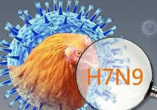 四月份還有禽流感嗎？4月份是禽流感高發(fā)期嗎？
