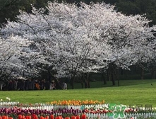 四月份去哪里旅游比較好？四月份最適合旅游的地方