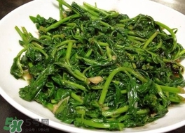 枸杞頭怎么吃？枸杞頭如何吃