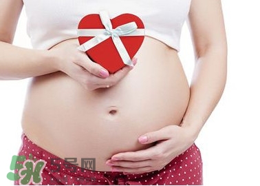 枸杞頭孕婦能吃嗎？枸杞頭孕婦可以吃嗎