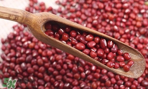 赤豆是什么豆？赤豆是紅豆嗎