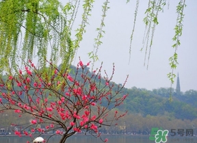 四月份去哪里旅游比較好？四月份最適合旅游的地方