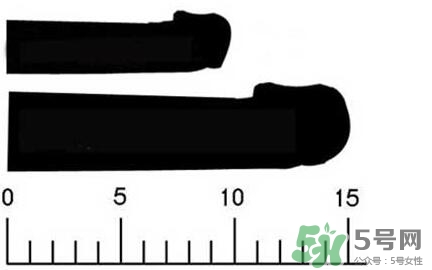 男人陰莖多長正常？男人陰莖增長的方法