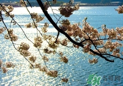 四月份去哪里旅游比較好？四月份最適合旅游的地方