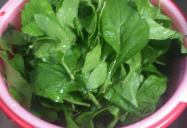 枸杞葉能吃嗎？枸杞葉怎么吃