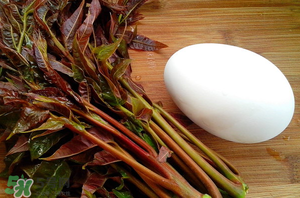 孕婦能吃春芽炒鵝蛋嗎？香椿炒鵝蛋孕婦能吃嗎？