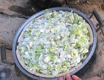 榆錢苦累怎么做？榆錢苦累的做法