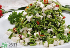 香椿可以助孕嗎？香椿有助孕的功效嗎？