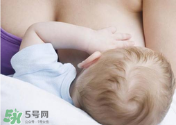 香椿會回奶嗎？吃香椿會回奶嗎？