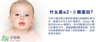 A2奶粉分幾種？A2奶粉有幾個(gè)種類？