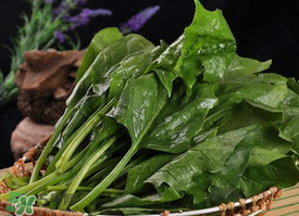 香椿和菠菜能一起吃嗎？香椿和菠菜能一起吃好嗎？