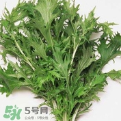 艾蒿能吃嗎？艾蒿能做菜吃嗎