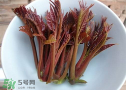 香椿和雞肉可同吃嗎？香椿和雞肉能一起吃嗎？