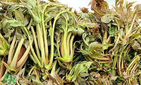 香椿和平菇能一起吃嗎？香椿和香菇能一起吃嗎？