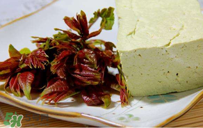 經(jīng)期能吃香椿嗎？月經(jīng)期間可以吃香椿嗎？