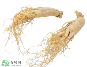 孕婦能吃人參嗎？孕婦可以吃人參嗎？