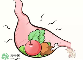 吃香椿會上火嗎？香椿吃多了會上火嗎？