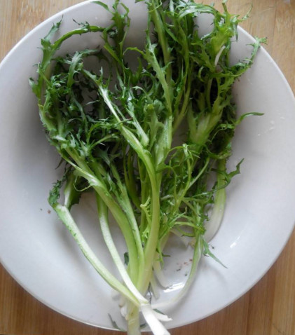 苦苣菜有什么營(yíng)養(yǎng)？苦苣菜的營(yíng)養(yǎng)價(jià)值