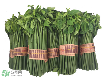 樹仔菜有毒嗎？樹仔菜有沒有毒？