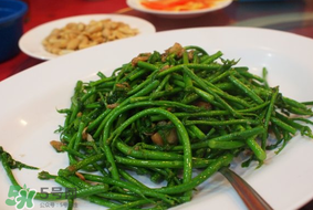 樹仔菜有毒嗎？樹仔菜有沒有毒？