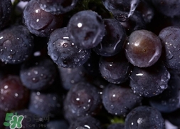 歐緹麗和雅漾哪個好？歐緹麗和雅漾哪個高端？