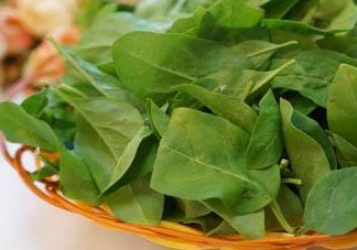 枸杞葉能炒著吃嗎？枸杞葉能涼拌嗎